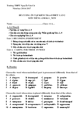 Đề cương ôn tập kiểm tra 45 phút lần 2 môn Tiếng Anh Lớp 11 (Thí điểm) - Năm học 2016-2017 - Trường THPT Nguyễn Văn Cừ
