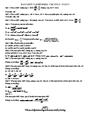 Bài tập ôn tập Chương I môn Hình học 9