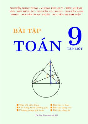Bài tập Toán 9 - Tập 1 - Nguyễn Ngọc Dũng