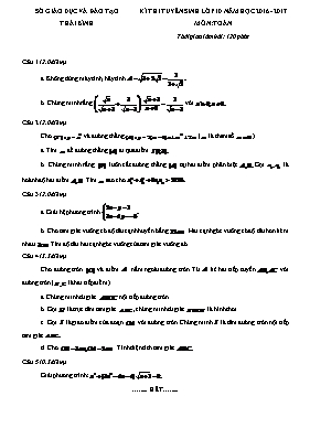 Đề thi tuyển sinh Lớp 10 THPT môn Toán - Năm học 2016-2017 - Sở GD & ĐT Thái Bình
