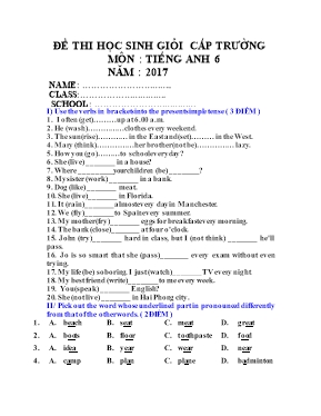 Đề thi chọn học sinh giỏi cấp trường môn Tiến