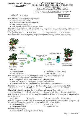 Đề thi thử THPT Quốc gia cho học sinh (học vi
