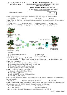 Đề thi thử THPT Quốc gia cho học sinh (học vi