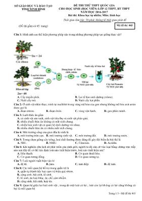Đề thi thử THPT Quốc gia cho học sinh (học vi