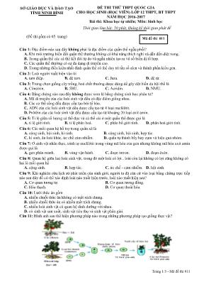 Đề thi thử THPT Quốc gia cho học sinh (học vi