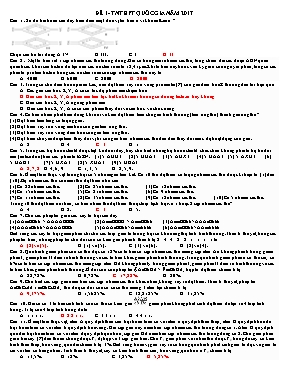 Đề thi Tốt nghiệp THPT Quốc gia môn Sinh học năm 2017 - Đề 1