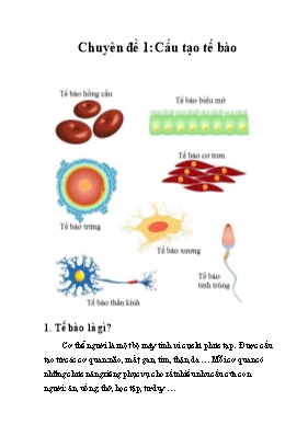 Bài tập Sinh học Lớp 10 - Chuyên đề 1: Cấu tạ