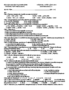 Đề kiểm tra 1 tiết lần 2 học kỳ 1 môn Hóa học Lớp 11 - Đề 1 - Trường THPT Nho Quan C