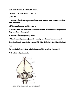 Đề kiểm tra học kì II môn Sinh học Lớp 7 - Tr