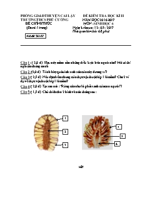 Đề kiểm tra học kỳ II môn Sinh học Lớp 6 - Mã