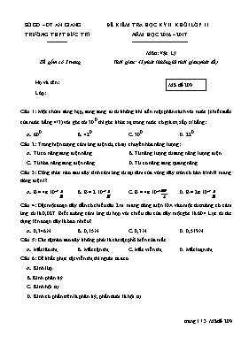 Đề kiểm tra học kỳ II môn Vật lý Lớp 11 - Mã 