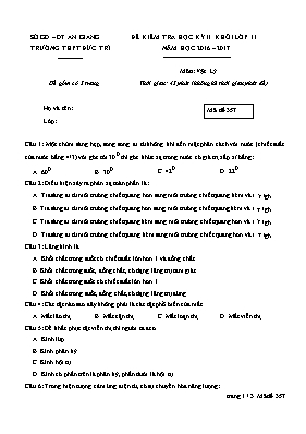 Đề kiểm tra học kỳ II môn Vật lý Lớp 11 - Mã 