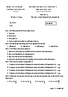 Đề kiểm tra học kỳ II môn Vật lý Lớp 11 - Mã 
