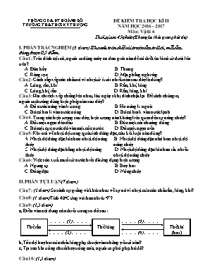 Đề kiểm tra học kỳ II môn Vật lý Lớp 6 - Năm 