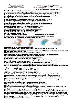 Đề kiểm tra phát triển thi THPT Quốc gia lần 2 môn Sinh học - Năm học 2016-2017 - Trường THPT Lai Vung 3