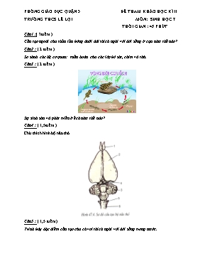 Đề tham khảo kiểm tra học kì II môn Sinh học 