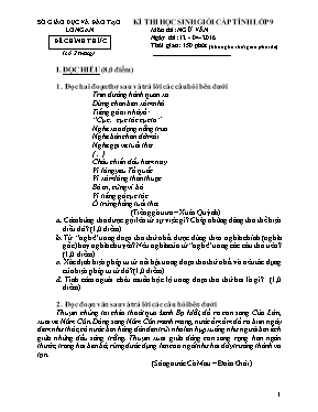 Đề thi chọn học sinh giỏi cấp tỉnh môn Ngữ vă