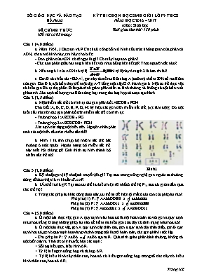 Đề thi chọn học sinh giỏi môn Sinh học 9 - Nă