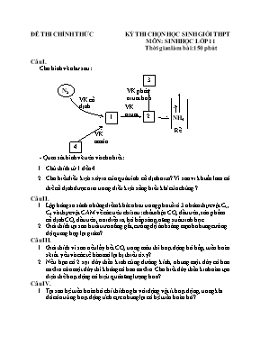 Đề thi chọn học sinh giỏi môn Sinh học Lớp 11