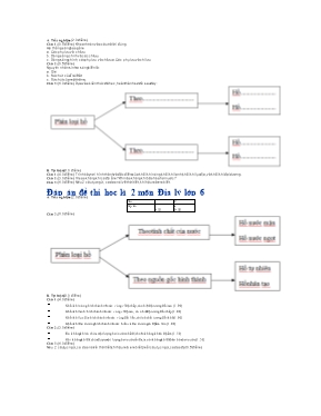 Đề thi học kỳ II môn Địa lý Lớp 6