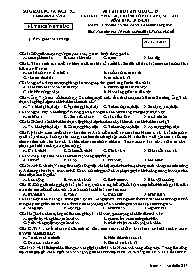 Đề thi thử THPT Quốc gia cho học sinh (học vi