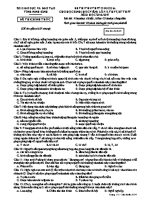 Đề thi thử THPT Quốc gia cho học sinh (học vi