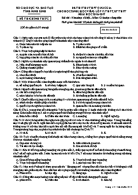 Đề thi thử THPT Quốc gia cho học sinh (học vi