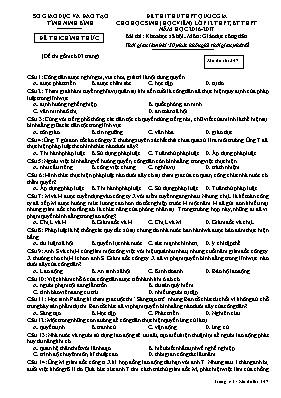 Đề thi thử THPT Quốc gia cho học sinh (học vi