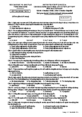 Đề thi thử THPT Quốc gia cho học sinh (học vi