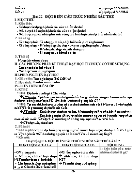 Giáo án Sinh học Lớp 9 - Tiết 23: Đột biến cấu trúc nhiễm sắc thể - Năm học 2016-2017
